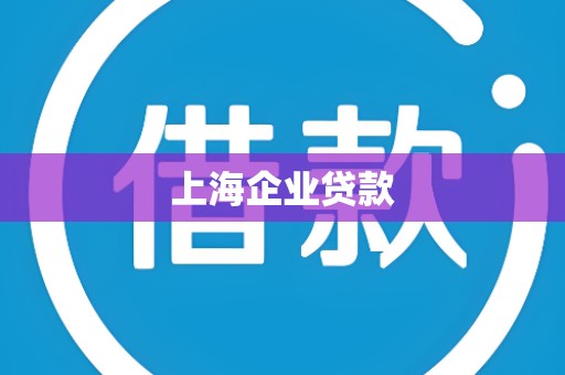 上海企业贷款